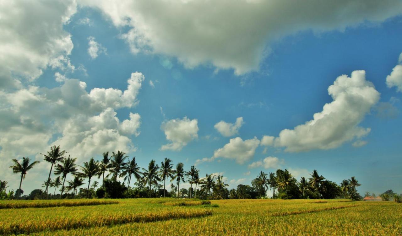 Griya Private Villa Ubud Exteriör bild