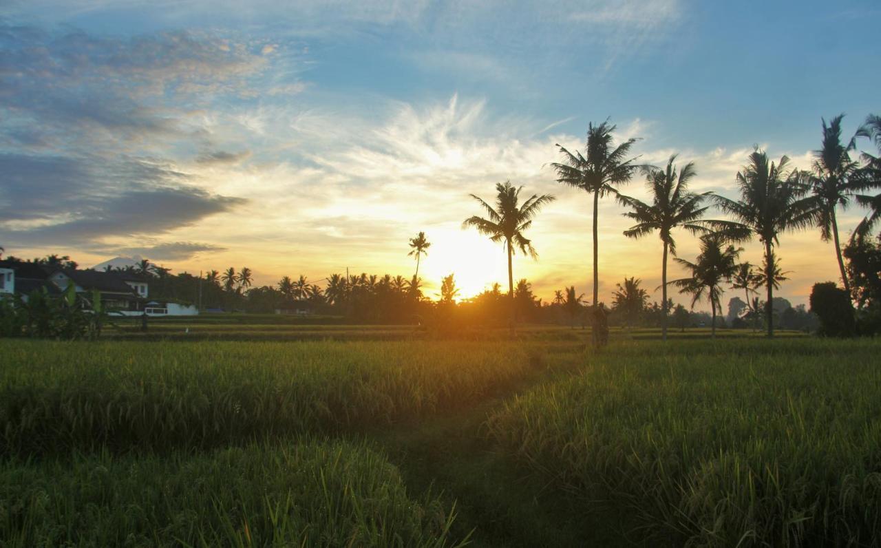 Griya Private Villa Ubud Exteriör bild